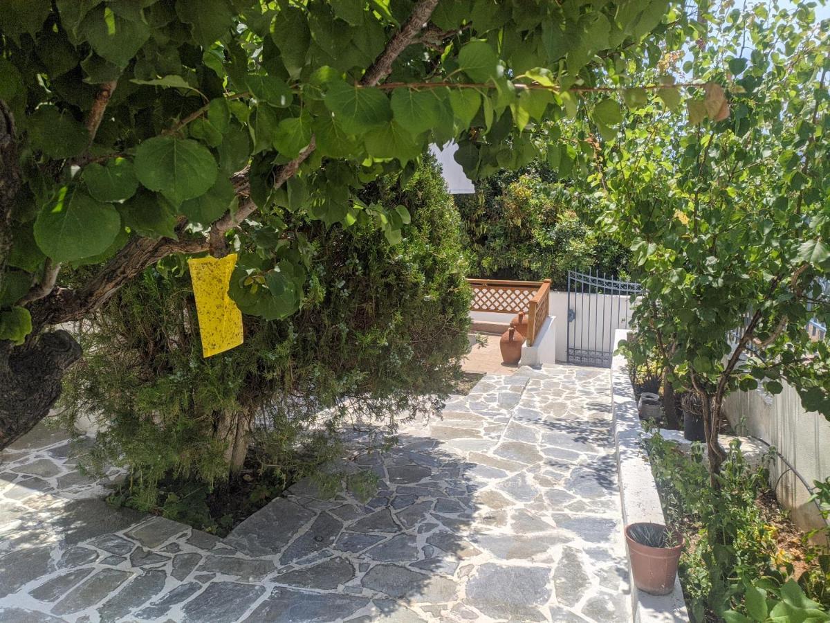 Villa Iliakti Relaxing Seaside Salamina Exterior foto